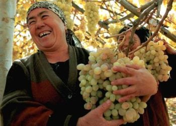 Kasar Sin Ta Nuna Adawa Da Kudurin Majalisar Turai Kan Xinjiang