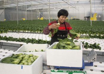 Yadda Kasar Sin Ta Yi Nasarar Saukaka Fatara Da Raya Karkara A Gomman Shekaru