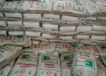 Manoma Sun Koka Kan Hauhawar Farashin Takin Zamani