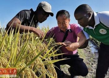 Abinci Shi Ne Tushen Rayuwa