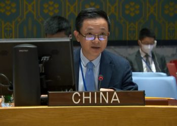 Sin Ta Bukaci A Taimakawa Afrika Don Warware Matsalolinta Bisa Hanyar Da Ta Dace Da Yanayin Afrika