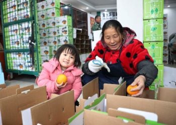 Kasar Sin Za Ta Hanzarta Hade Kasuwancin Yanar Gizo Na Karkara Da Tsarin Jigilar Kaya