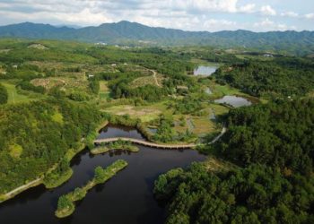 Shugabar Sashen Lura Da Halittu Ta MDD Ta Yaba Nasarorin Da Sin Ta Samu A Fannin Kare Muhalli