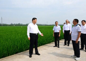 Xi Da Abokin Daka Akan Sha Gari
