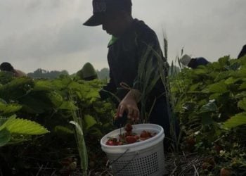 Yara ’Yan Kwadago Da Ke Kasar Amurka Wadda Ke Ikirarin Kare Hakkin Dan Adam