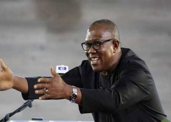 Peter Obi Ba Shi Da Wani Shiri Na Fice Wa Daga Jam’iyyar LP —Shugaban Jam’iyya