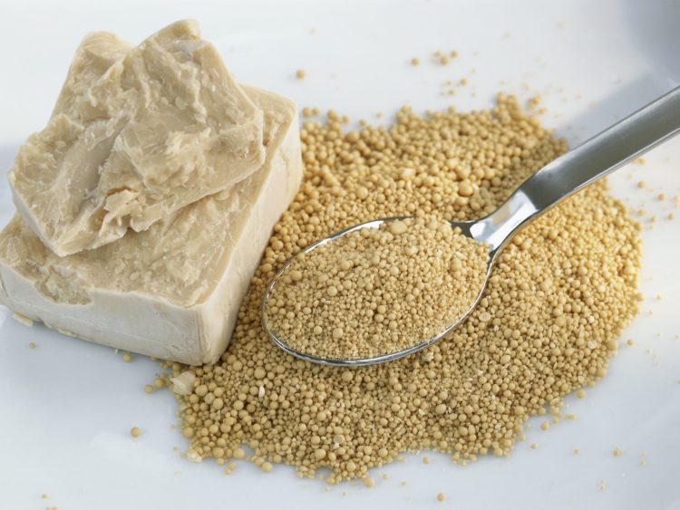 Yeast