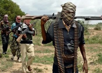 ‘Yan Bindiga Sun Yi Wa Mutan 3 Yankan Rago Da Sace Wasu Da Dama A Wani Sabon Hari A Neja