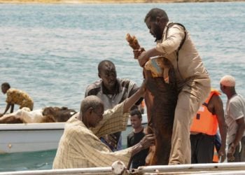 Jirgin Ruwa Dauke Da Dabbobi Ya Nutse A Teku Kan Hanyarsu Ta Zuwa Saudiyya