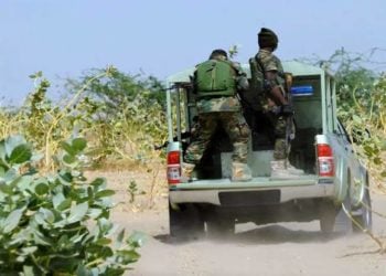 ‘Yan Sanda Sun Yi Raga-raga Da Maboyar ‘Yan Ta’adda, Sun Cafke 13 A Adamawa