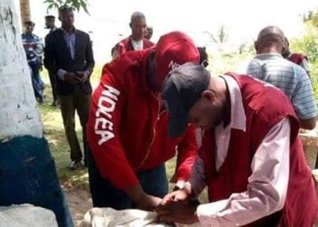 NDLEA Ta Cafke ‘Yan Maye 100 Da Rushe Mashaya 14 A Kaduna