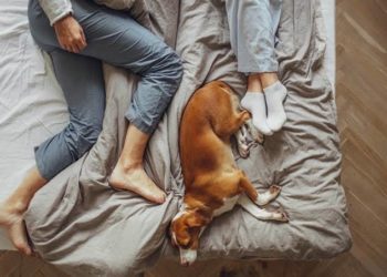 Mamaki Ya Cika Ango Da Amarya Kan Yadda Suka Kwana Da Bakon Kare