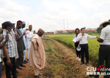 Shinkafa Mai Inganci Na Kasar Sin Ta Ba Da Gudummowa Wajen Kara Yawan Shinkafa A Najeriya