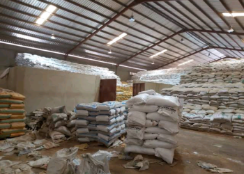 An Gano Wani Gurbataccen Taki Da Ake Sayar Wa Manoma A Kano