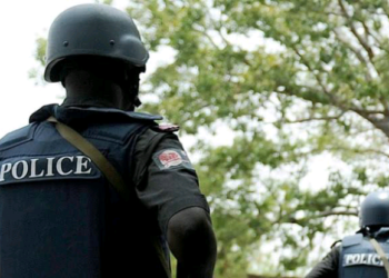 ‘Yan Sanda Sun Cafke Dan Sandan Bogi A Ebonyi