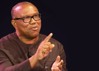 Dalilin Da Ya Sa Ba Zan Binciki Buhari Da Gwamnatocin Baya Ba – Peter Obi