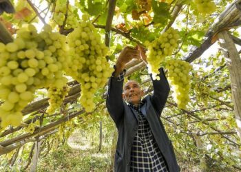 Sin: Rahoto Kan Xinjiang Shiri Ne Da Amurka Da Kasashen Yamma Suka Kitsa