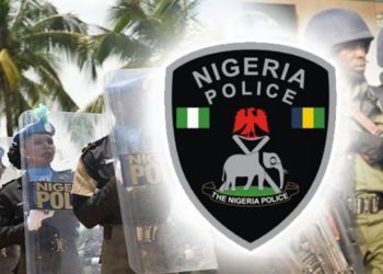 Mutum 25 Ne Suka Bace Cikin Wata 6 A Jihar Abia — ‘Yan Sanda