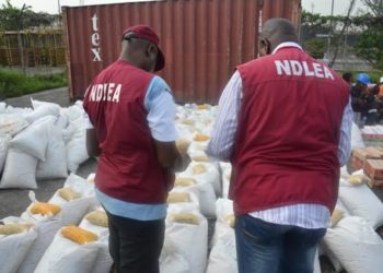 NDLEA Ta Bankado Hodar Iblis Da Aka Boye Cikin Abincin Jarirai
