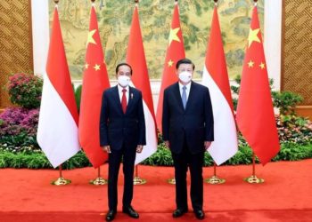 Xi Ya Tattauna Da Takwaransa Na Kasar Indonesia