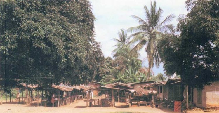 Soja