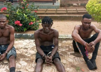 NIS Ta Cafke Dillalan Makamai A Iyakar Nijeriya Da Kamaru