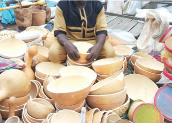 Ko Kananan Sana’o’i Na Biya Wa ‘Yan Nijeriya Bukatunsu?