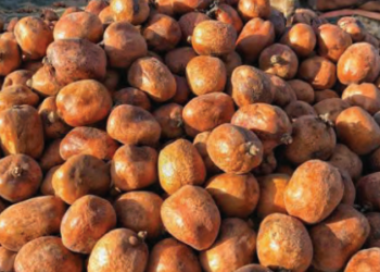 Manyan Kasuwannin Da Aka Fi Samun Goruba A Nijeriya