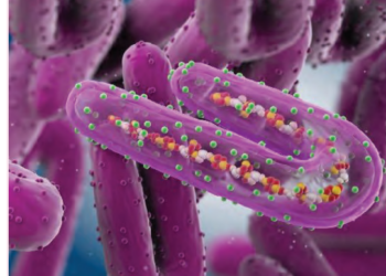 Cutar Marburg A Ghana