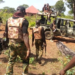 Safara'u Sojoji Sun Kashe Dan Ta’adda, Sun Kama Wasu 3 A Kaduna