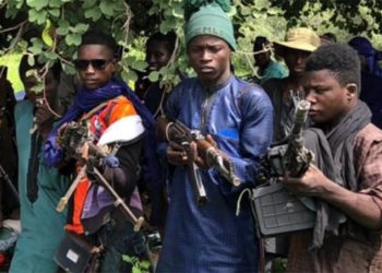 ‘Yansanda Sun Cafke Mutum 20 Kan Zargin Garkuwa Da Mutane A Jihohin Benuwai Da Gombe