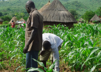 An Shawarci Manoman Jihar Kaduna Su Rika Biyan Basussukan Bankuna
