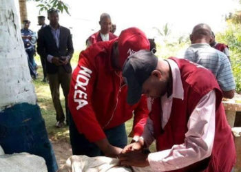 NDLEA Ta Kwace Maganin Cutar Hauka Mai Nauyin Kilo 150 A Gombe