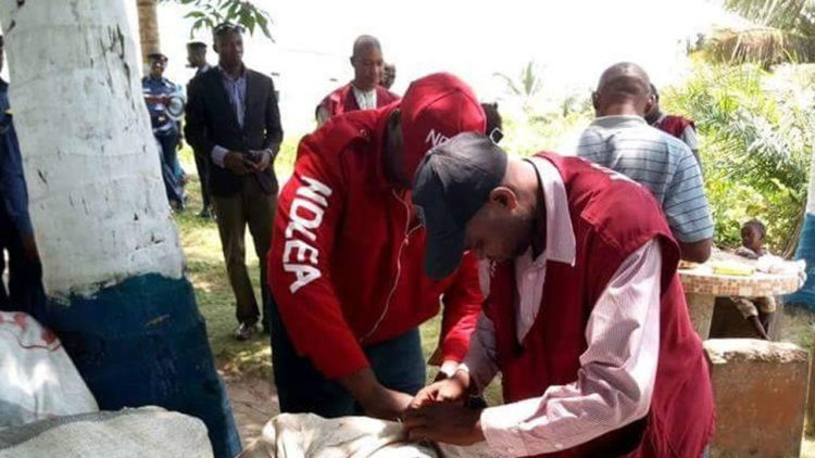 NDLEA