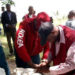 NDLEA Ta Kwace Maganin Cutar Hauka Mai Nauyin Kilo 150 A Gombe