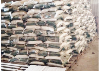 Bana An Noma Masara Da Tsadar Gaske – Makarfi