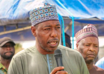 Zulum Ya Bai Wa Matasan Biu 1,000 Tallafin Miliyan 100 Don Yin Jari