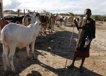 Abin Da Ya Sa Gwamnati Ta Kebe Wuraren Kiwo 368 Don Bunkasa Noma