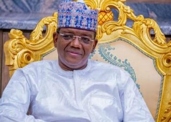 ‘Yan Bindiga Kamar Dabbobi Suke, Mun Samu Makamin Da Zai Datsa Su Biyu —Matawalle