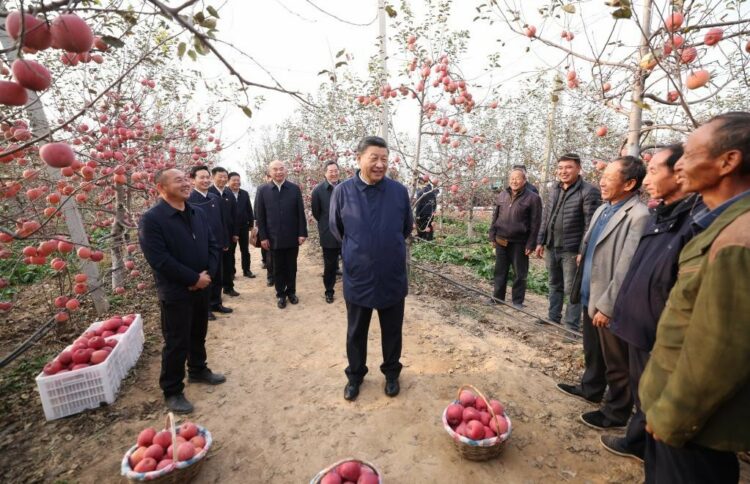 Xi