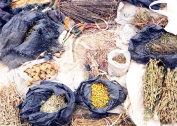 Ya Shiga Hannu Kan Siyar Wa Mutane Garin Katako Da Siminti A Matsayin Maganin Gargajiya A Kwara