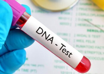 Shari’ar Musulunci Ba Ta Amince Da Gwajin DNA Don Tabbatar Da Nasaba Ba —Shugabar FIDA