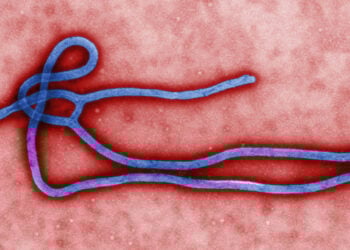 Nijeriya Na Fuskantar Yiwuwar Sake Bullar Ebola – NCDC