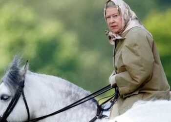 Sarki Charles Zai Sanya Dawakan Sarauniya Elizabeth Guda 14 A Kasuwa Zai Sayar