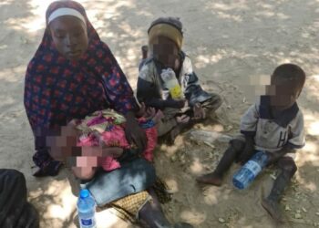 Sojoji Sun Kubutar Da Wata ‘Yar Makarantar Chibok Da Tagwayen Jarirai