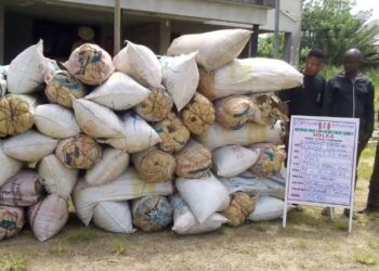 NDLEA Ta Kama Wasu ’Yan Kwaya 4 Da Ake Nema Ruwa A Jallo Kan Mu’amala Da Miyagun Kwayoyi