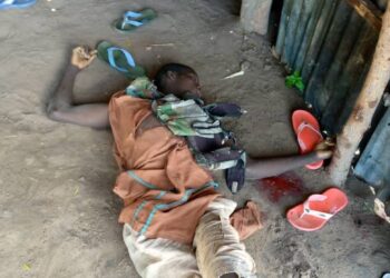 Da Dumi-Dumi: ISWAP Ta Kashe Mutum 6, Ta Kwace Makamai A Yankin ‘Yan Boko Haram
