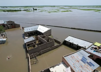Kogin Kumadugu Ya Yi Ambaliya Karon Farko Cikin Shekara 100 A Yobe