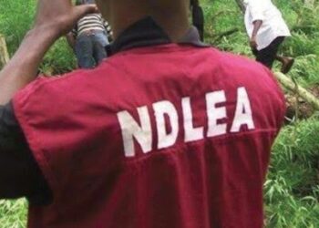 NDLEA Ta Cafke Wani Basaraken Kauye Da Wasu Kan Safarar Miyagun Kwayoyi