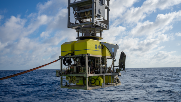 ROV